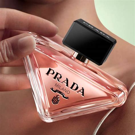 prada parasox|Prada paradox review.